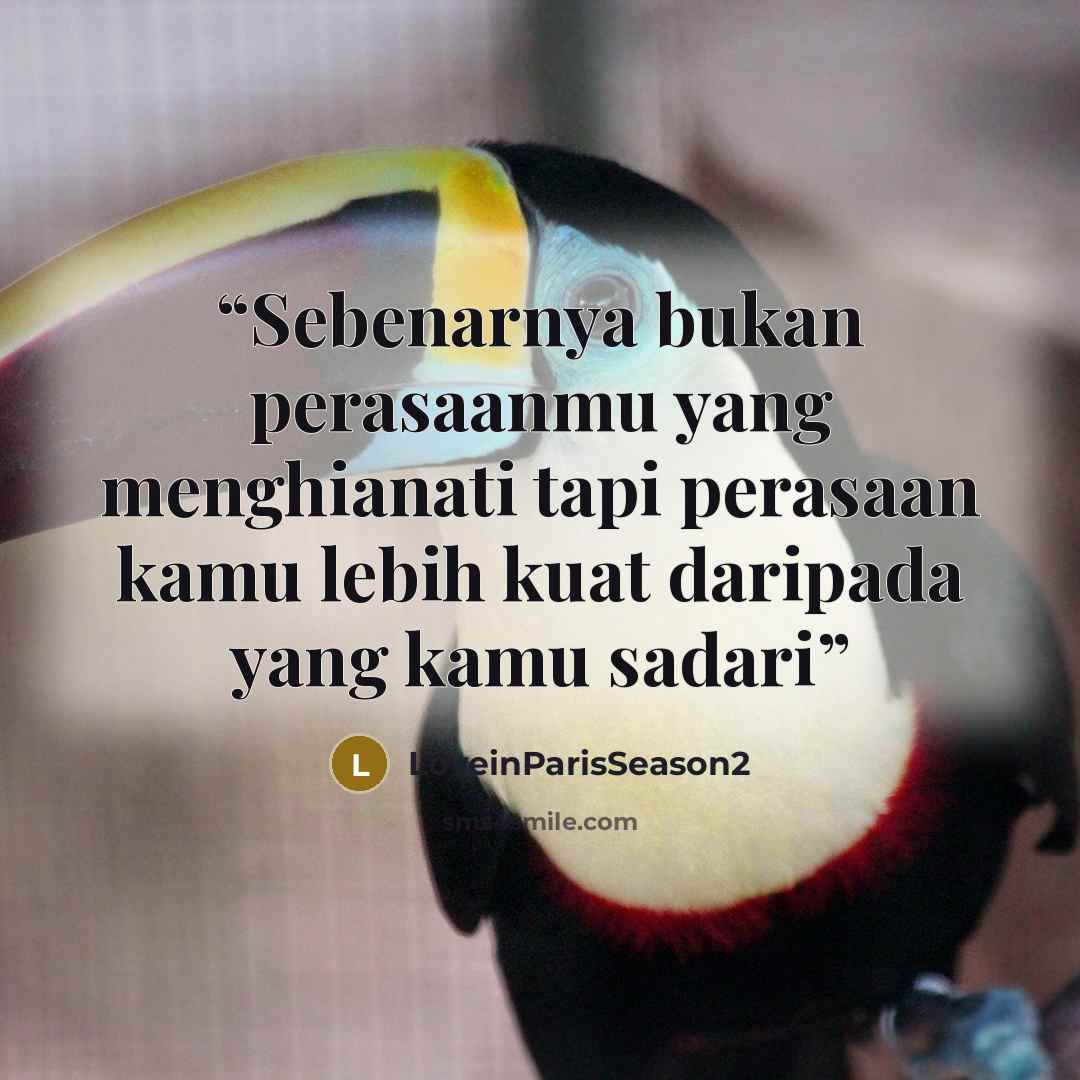 “Sebenarnya bukan perasaanmu yang menghianati tapi perasaan kamu lebih kuat daripada yang kamu sadari” quote by LoveinParisSeason2