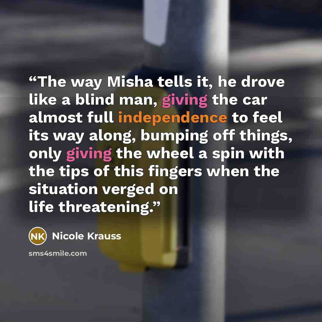 “The way Misha tells it, he drove like a blind man, giving the car almost full independence to feel its way along, bumping off things, only giving the wheel a spin with the tips of this fingers when the situation verged on life threatening.” quote by Nicole Krauss