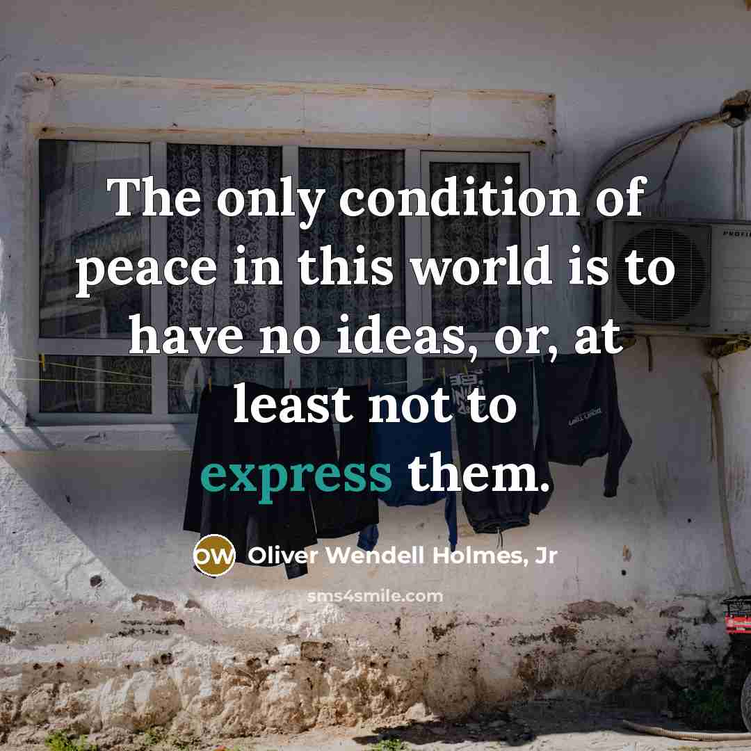 “The only condition of peace in this world is to…” quote by Oliver Wendell Holmes, Jr