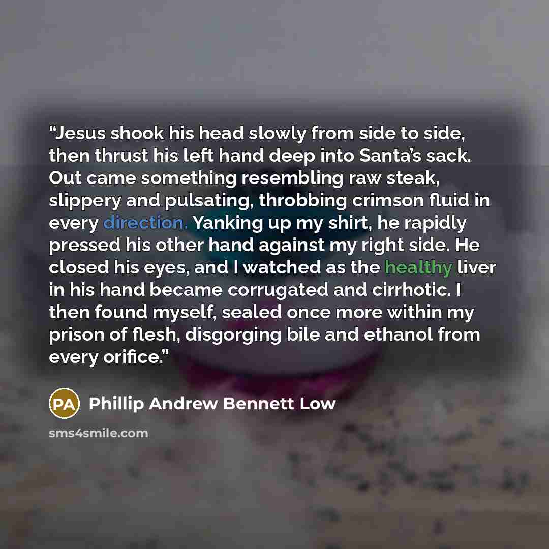 “Jesus shook his head slowly from side to side, then thrust his left hand deep into Santa’s sack. Out came something resembling raw steak, slippery and pulsating, throbbing crimson fluid in every direction. Yanking up my shirt, he rapidly pressed his other hand against my right side. He closed his…” quote by Phillip Andrew Bennett Low