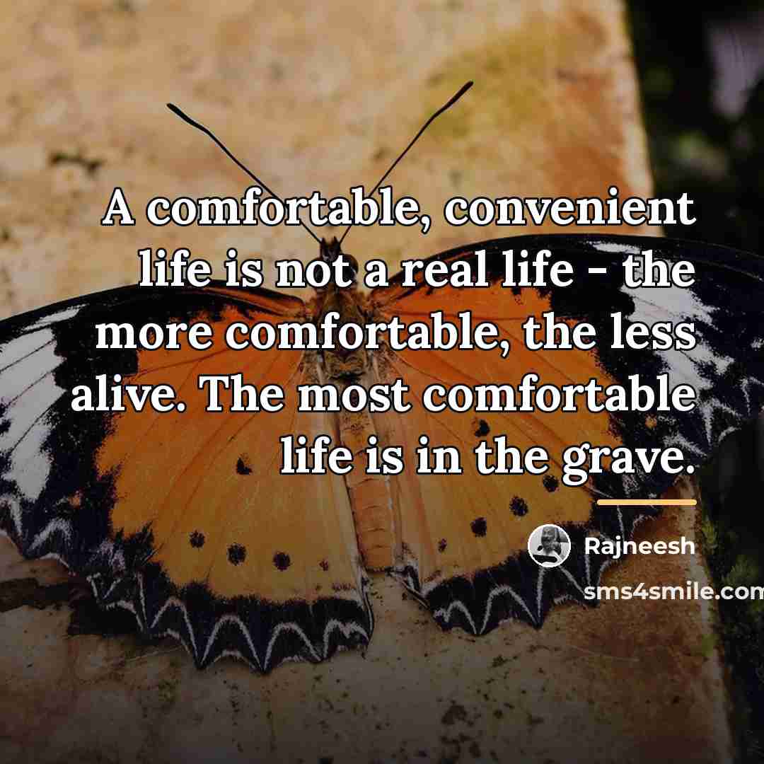 “A comfortable, convenient life is not a real life -…” quote by Rajneesh
