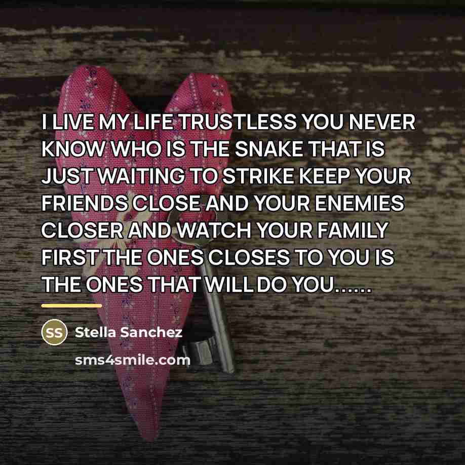 “I LIVE MY LIFE TRUSTLESS YOU NEVER KNOW WHO IS…” quote by Stella Sanchez