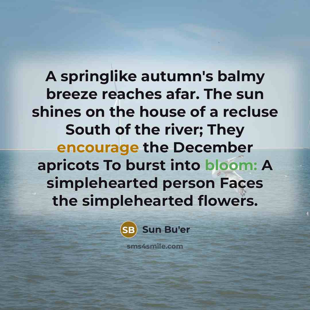 “A springlike autumn's balmy breeze reaches afar. The sun shines…” quote by Sun Bu'er