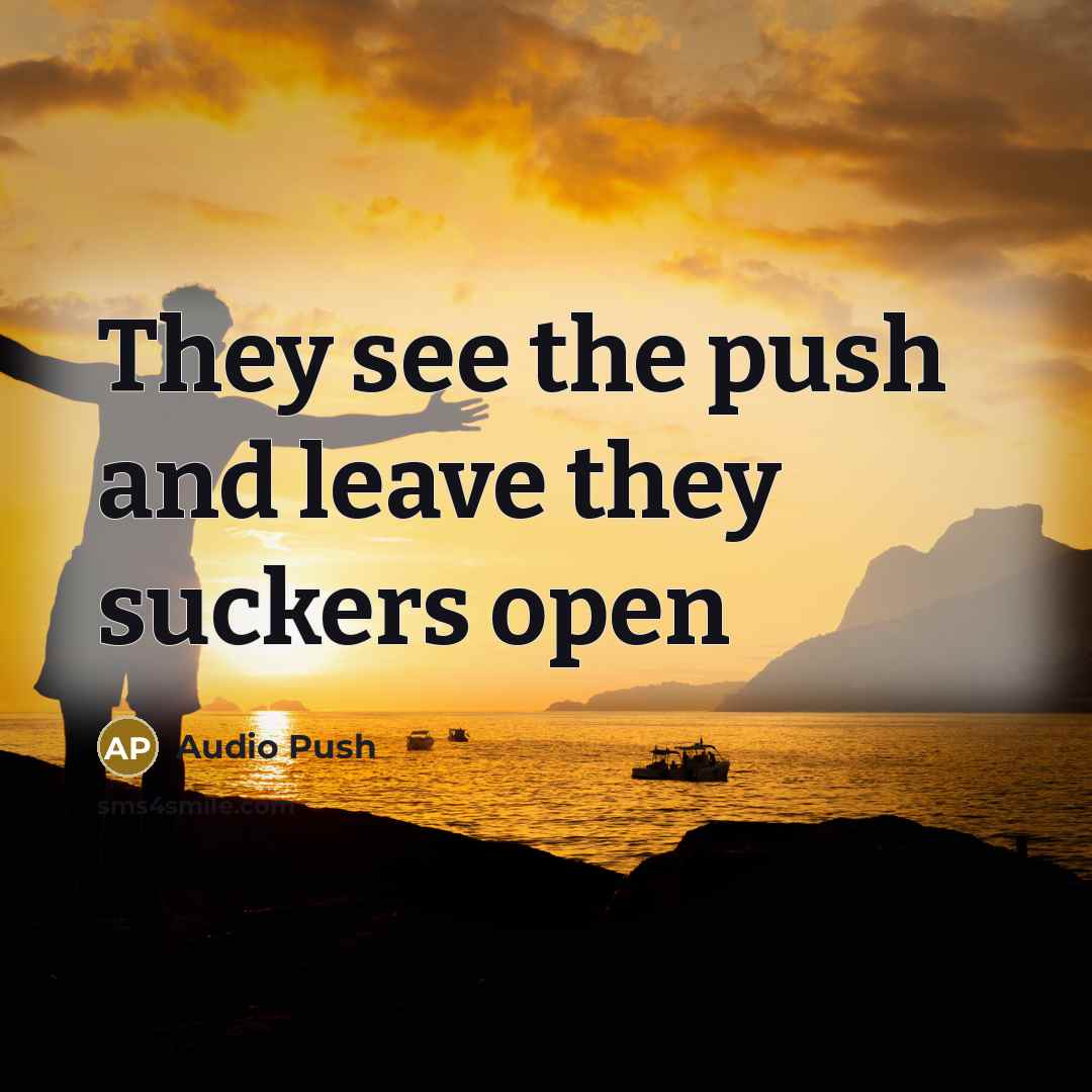 “They see the push and leave they suckers open…” quote by Audio Push