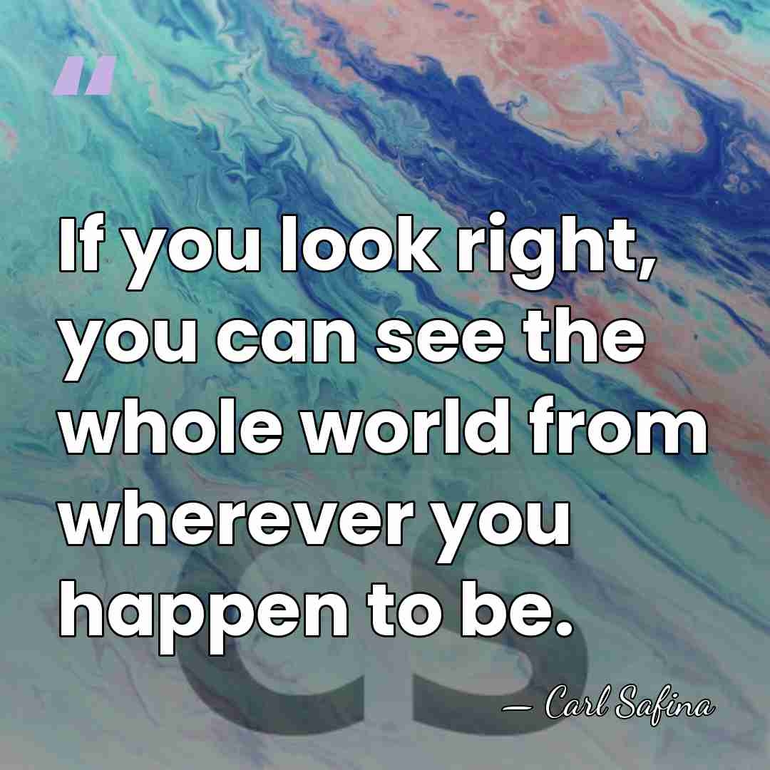 If you look right, you can see the whole world from wherever&hellip; - Carl Safina