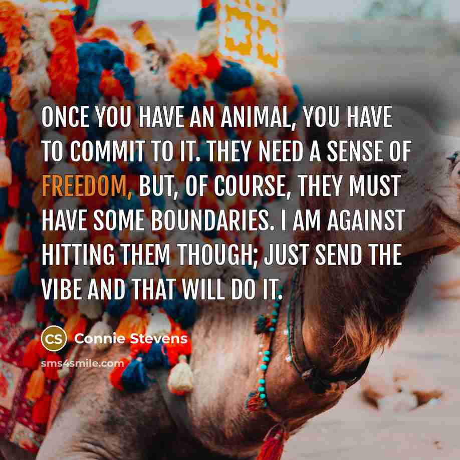“Once you have an animal, you have to commit to…” quote by Connie Stevens