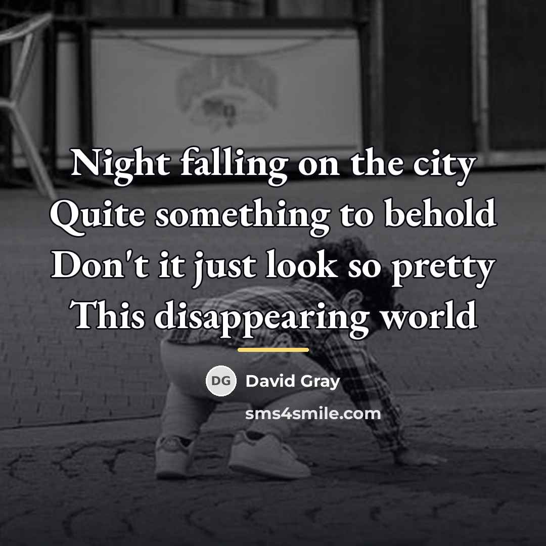 “Night falling on the city Quite something to behold Don't…” quote by David Gray