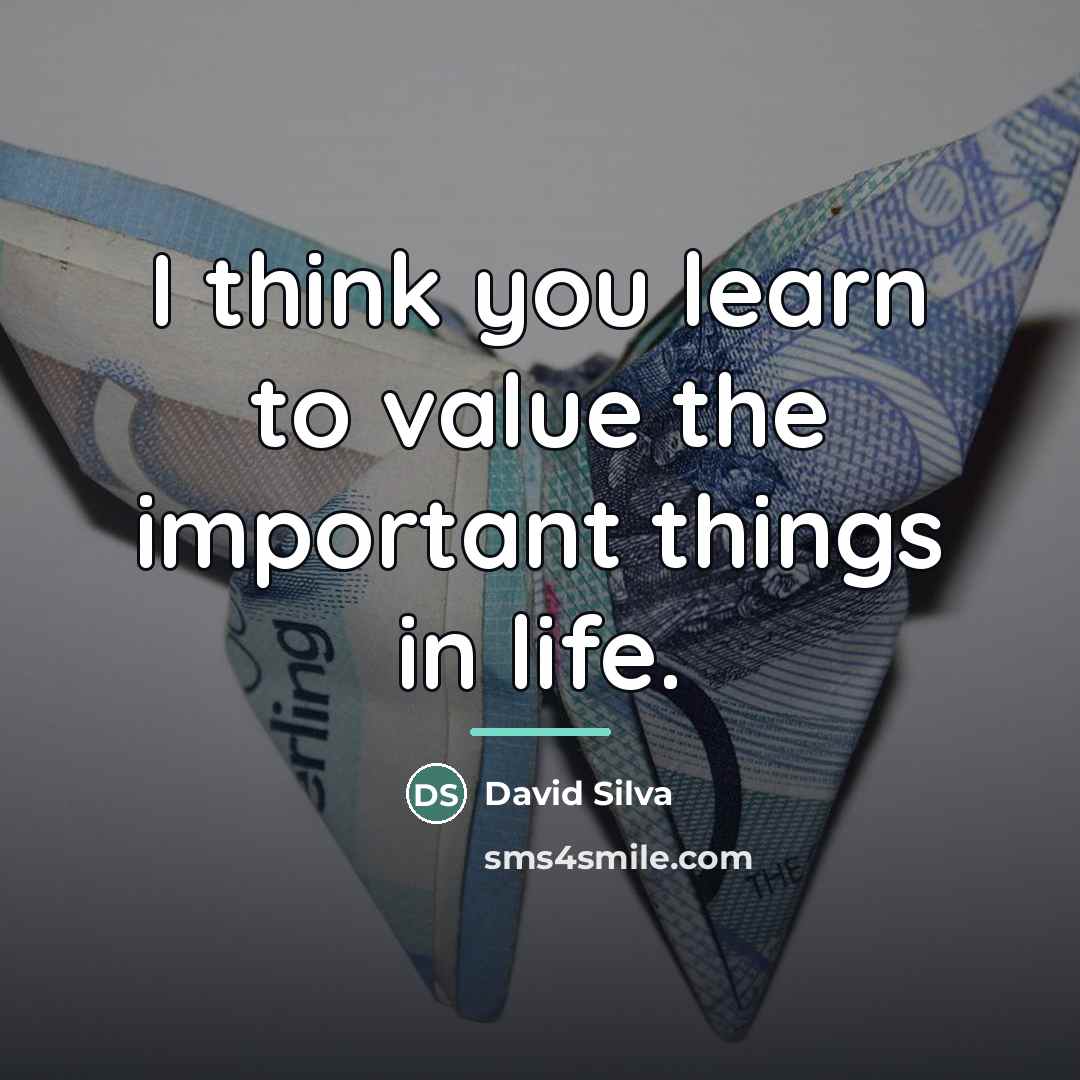 “I think you learn to value the important things in…” quote by David Silva