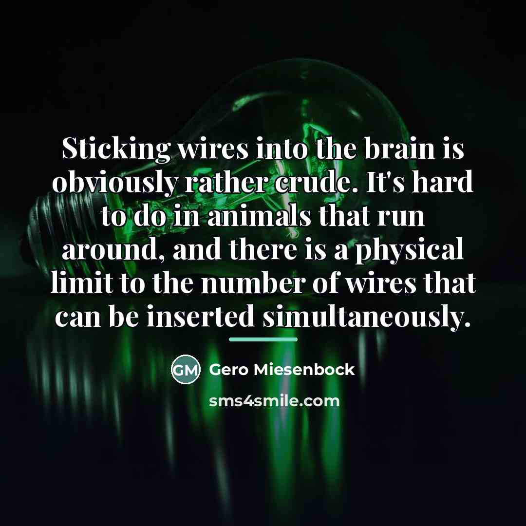 “Sticking wires into the brain is obviously rather crude. It's…” quote by Gero Miesenbock