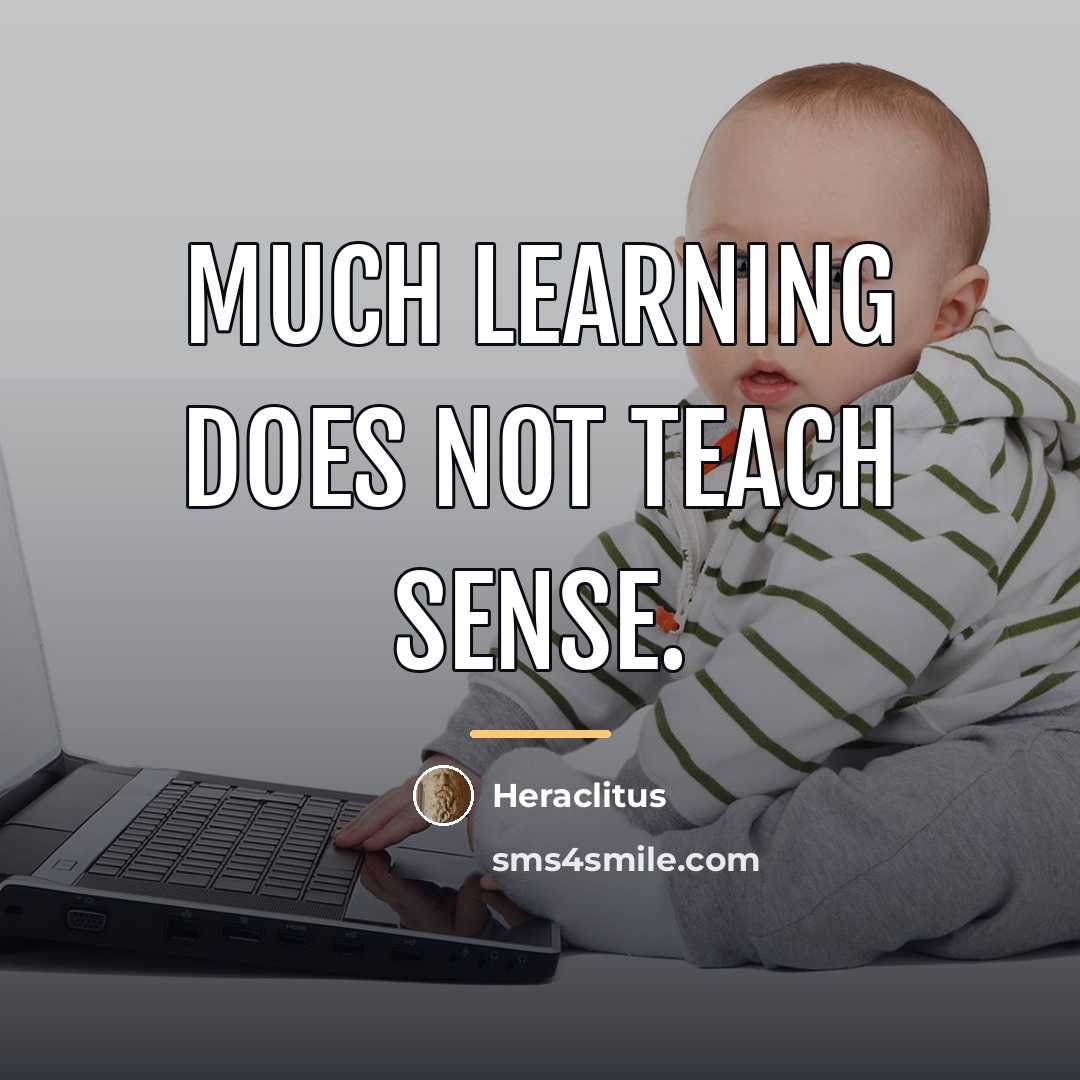 “Much learning does not teach sense.…” quote by Heraclitus