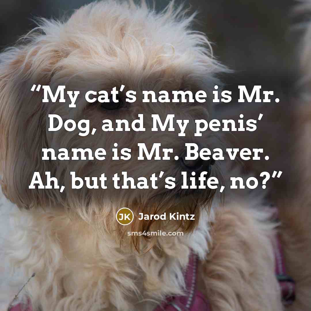 “My cat’s name is Mr. Dog, and My penis’ name is Mr. Beaver. Ah, but that’s life, no?” quote by Jarod Kintz