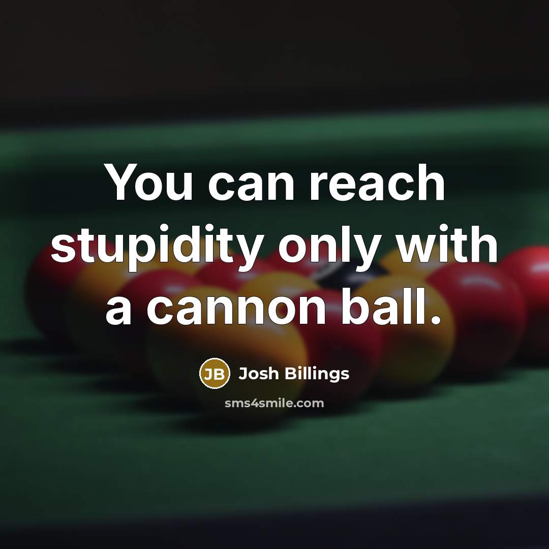 “You can reach stupidity only with a cannon ball.…” quote by Josh Billings