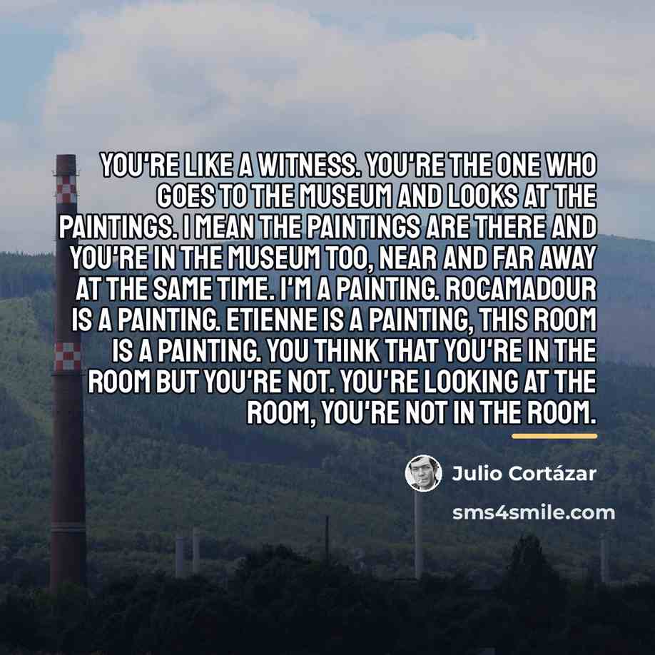 “You're like a witness. You're the one who goes to…” quote by Julio Cortazar