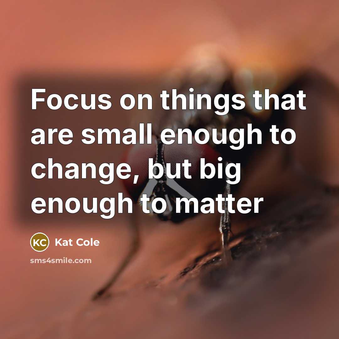 “Focus on things that are small enough to change, but…” quote by Kat Cole