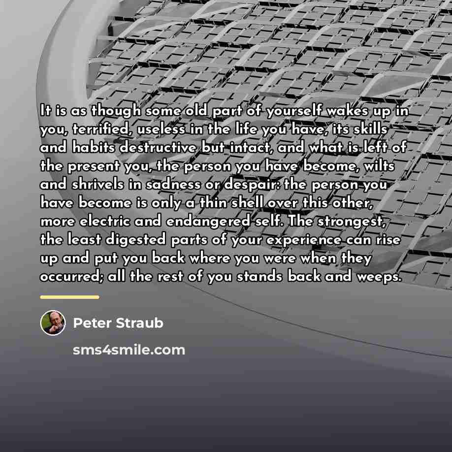 “It is as though some old part of yourself wakes…” quote by Peter Straub