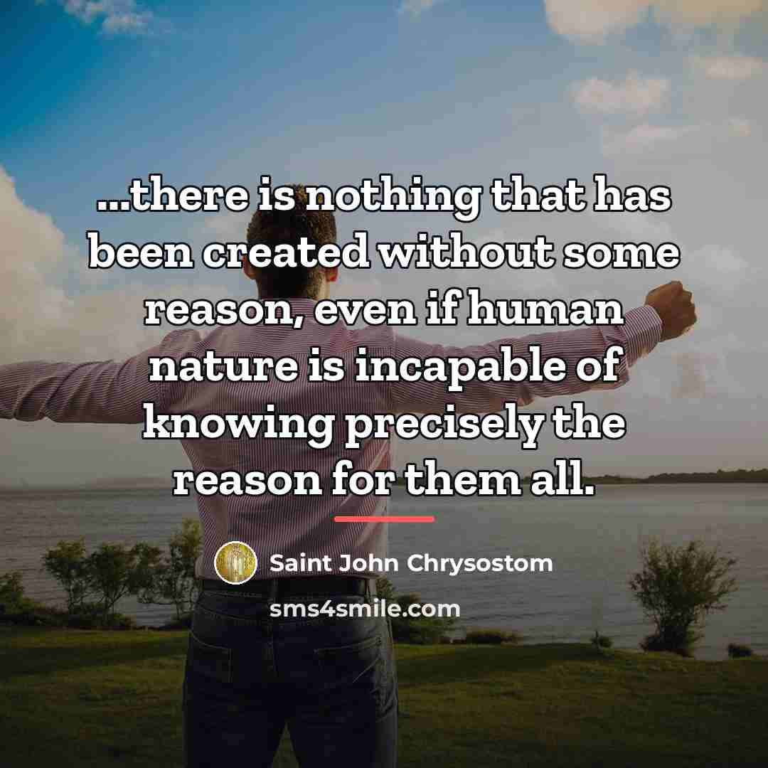 “...there is nothing that has been created without some reason,…” quote by Saint John Chrysostom