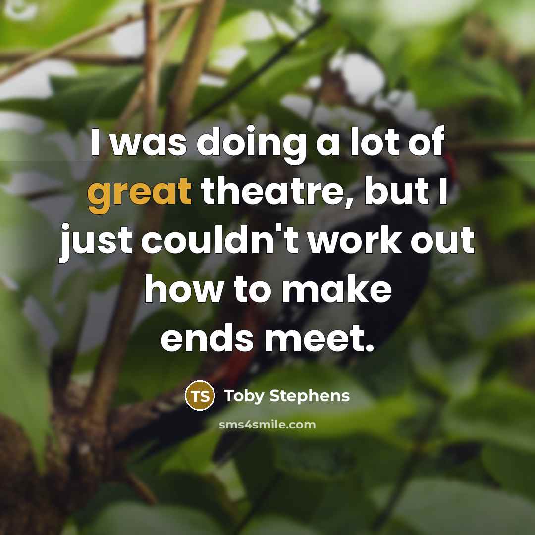 “I was doing a lot of great theatre, but I…” quote by Toby Stephens