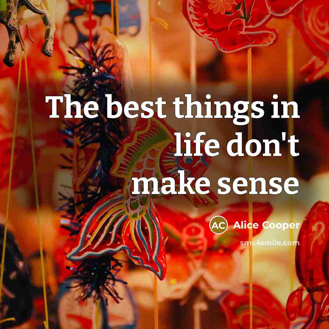 “The best things in life don't make sense…” quote by Alice Cooper