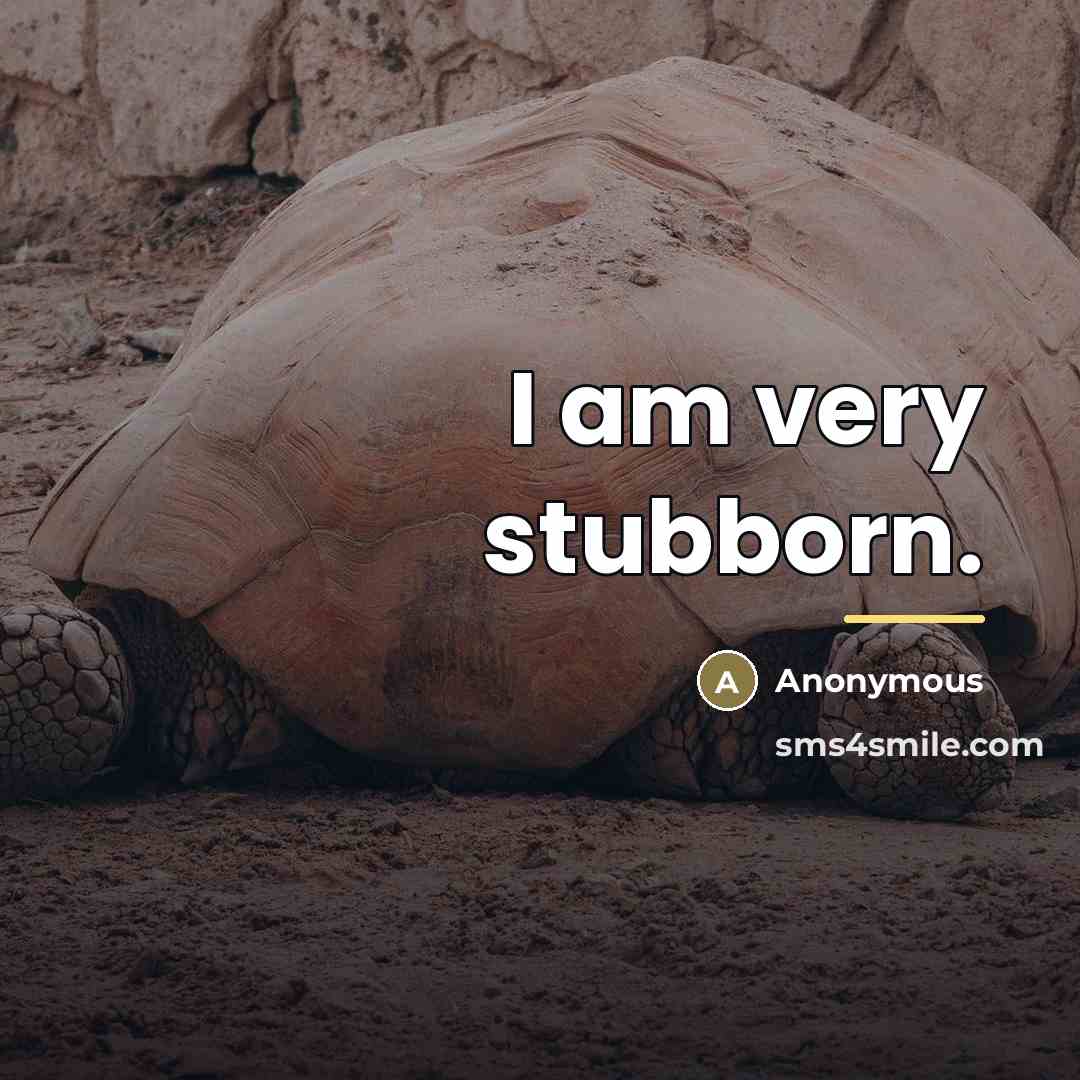 “I am very stubborn.…” quote by Anonymous