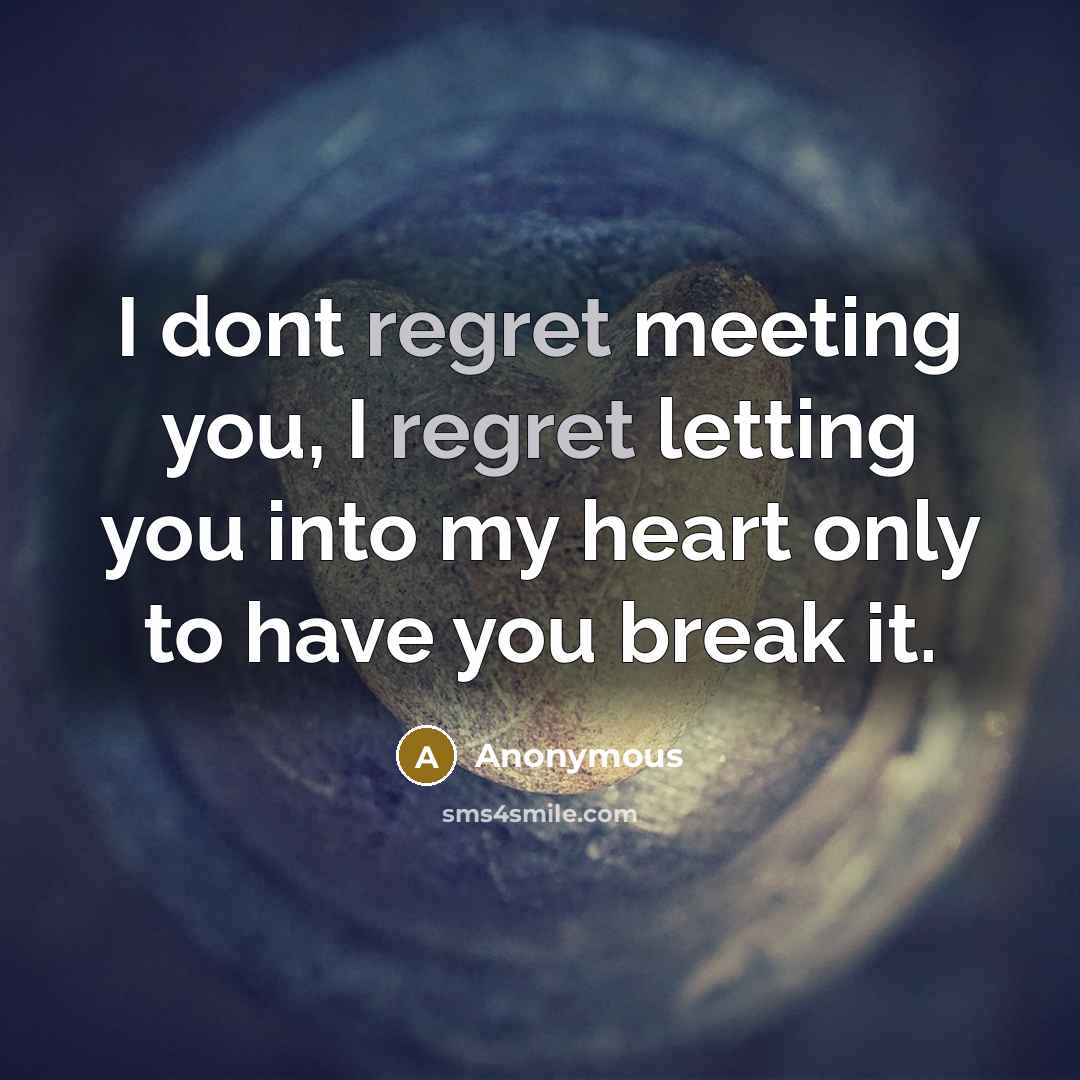 “I dont regret meeting you, I regret letting you into…” quote by Anonymous