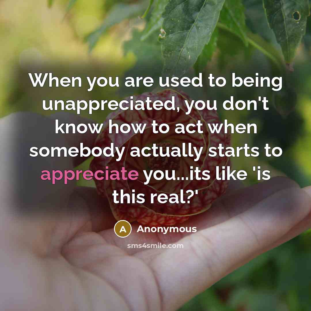 “When you are used to being unappreciated, you don't know…” quote by Anonymous