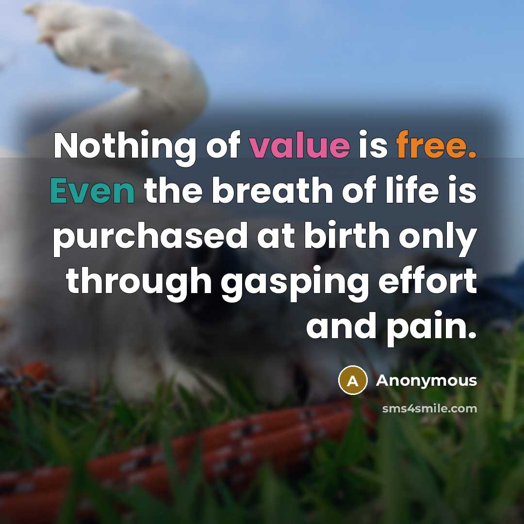 “Nothing of value is free. Even the breath of life…” quote by Anonymous