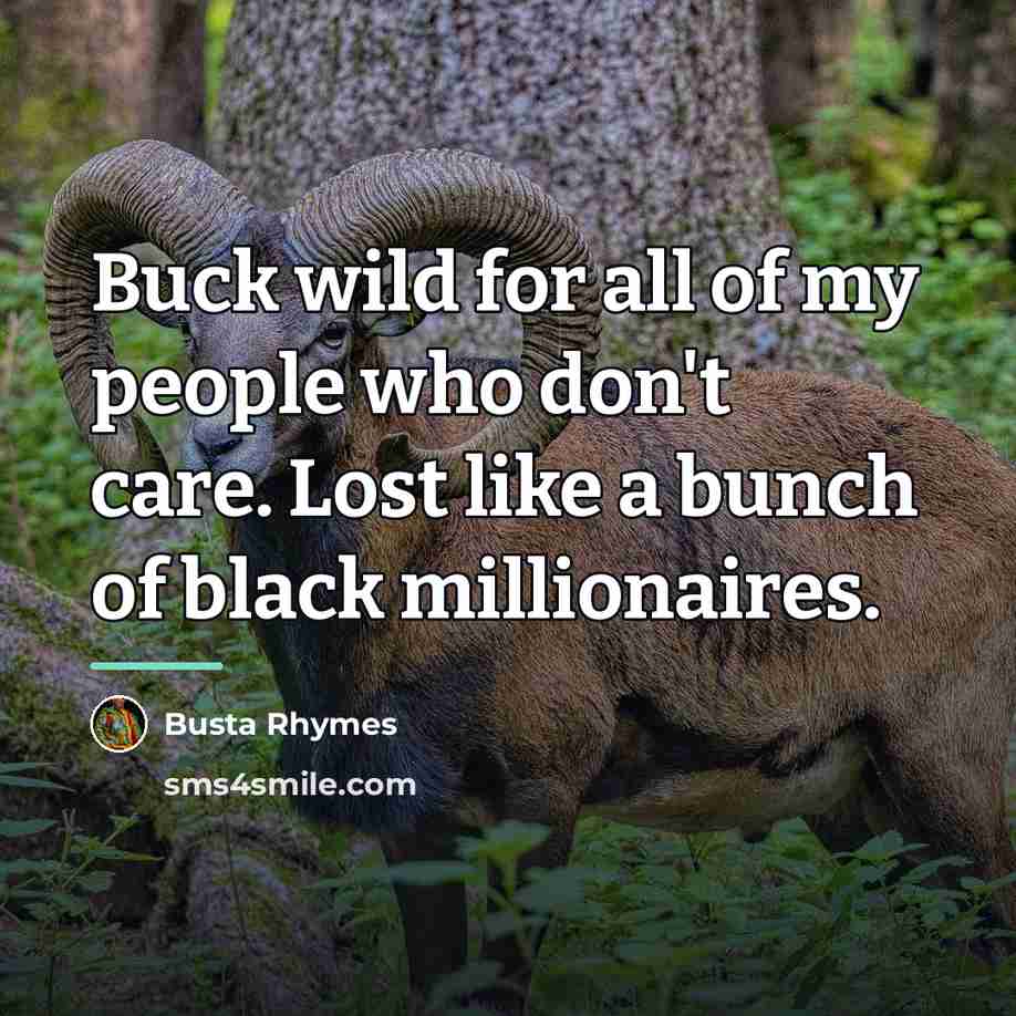 “Buck wild for all of my people who don't care.…” quote by Busta Rhymes