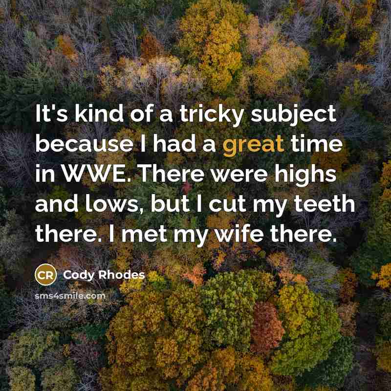 “It's kind of a tricky subject because I had a…” quote by Cody Rhodes