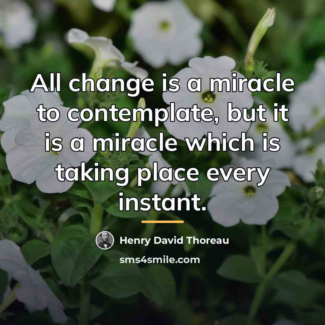 “All change is a miracle to contemplate, but it is…” quote by Henry David Thoreau