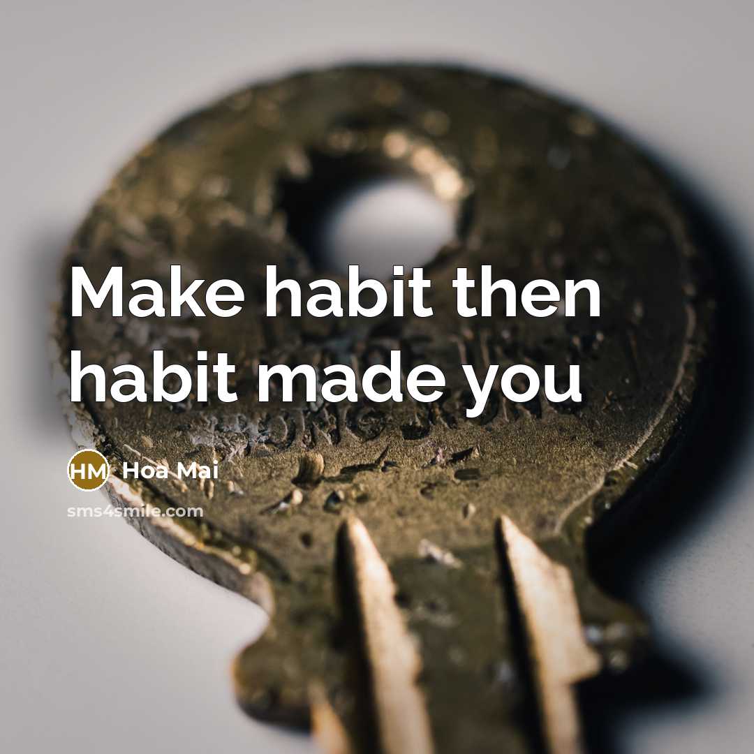 “Make habit then habit made you” quote by Hoa Mai