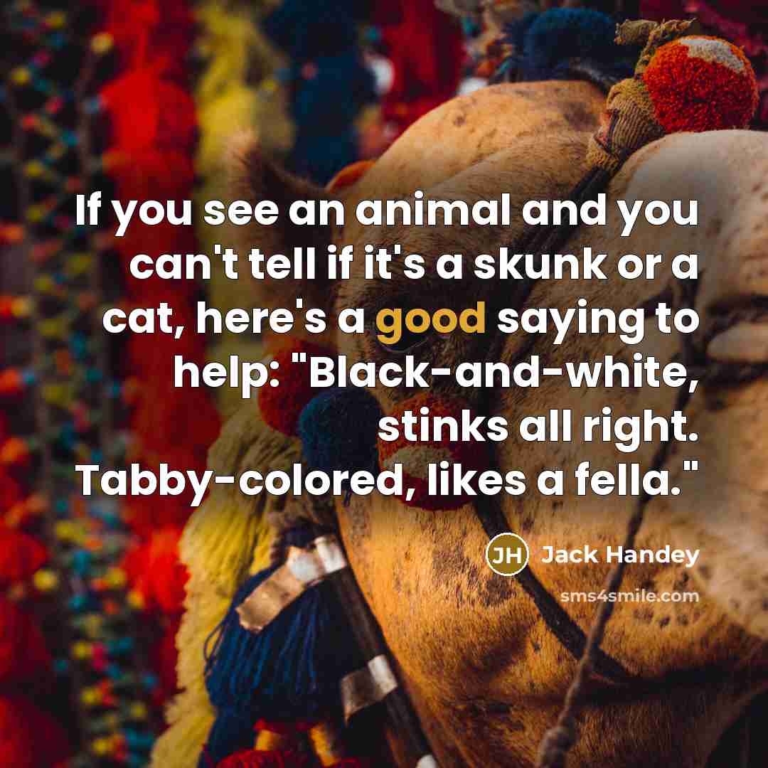 “If you see an animal and you can't tell if…” quote by Jack Handey