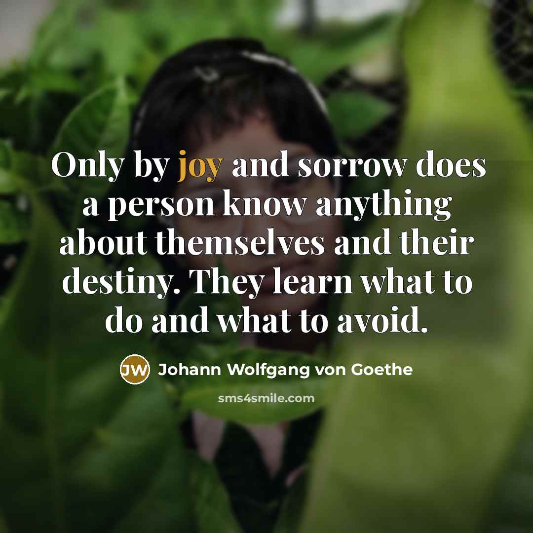 “Only by joy and sorrow does a person know anything…” quote by Johann Wolfgang von Goethe