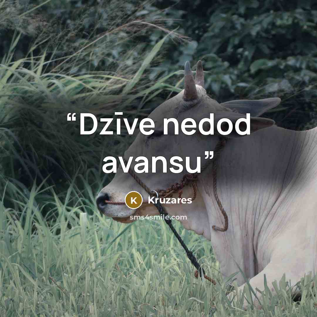 “Dzīve nedod avansu” quote by Kruzares
