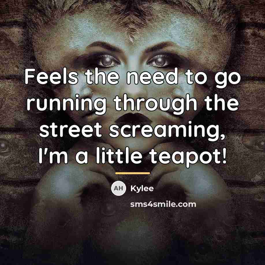 “Feels the need to go running through the street screaming,…” quote by Kylee