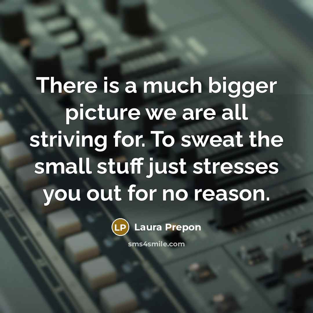 “There is a much bigger picture we are all striving…” quote by Laura Prepon