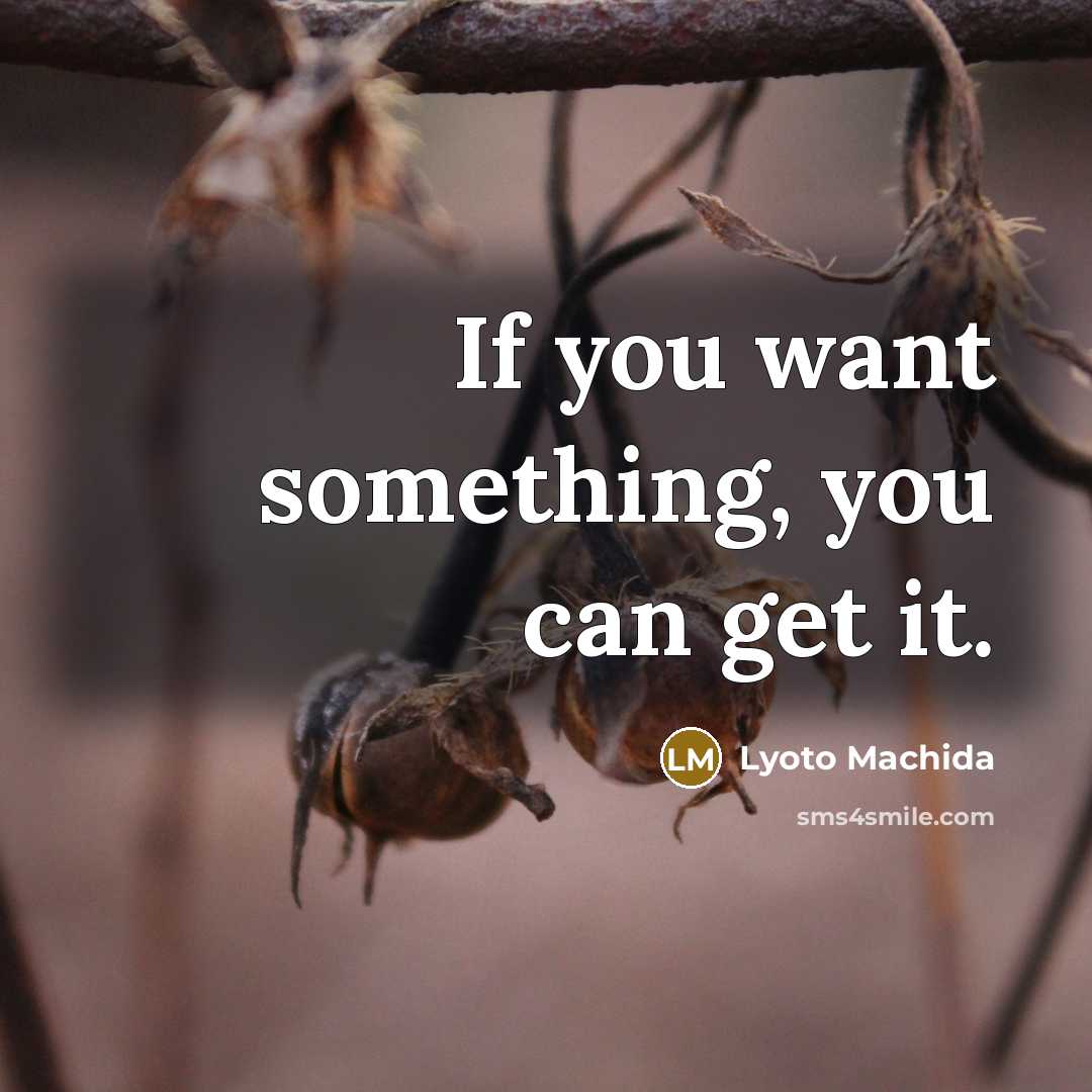 “If you want something, you can get it.…” quote by Lyoto Machida