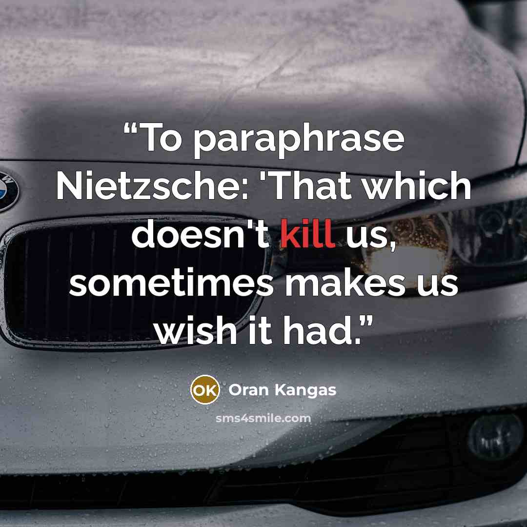 “To paraphrase Nietzsche: 'That which doesn't kill us, sometimes makes us wish it had.” quote by Oran Kangas
