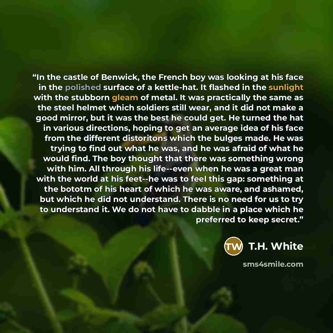 “In the castle of Benwick, the French boy was looking at his face in the polished surface of a kettle-hat. It flashed in the sunlight with the stubborn gleam of metal. It was practically the same as the steel helmet which soldiers still wear, and it did not make a good mirror, but it was the best…” quote by T.H. White