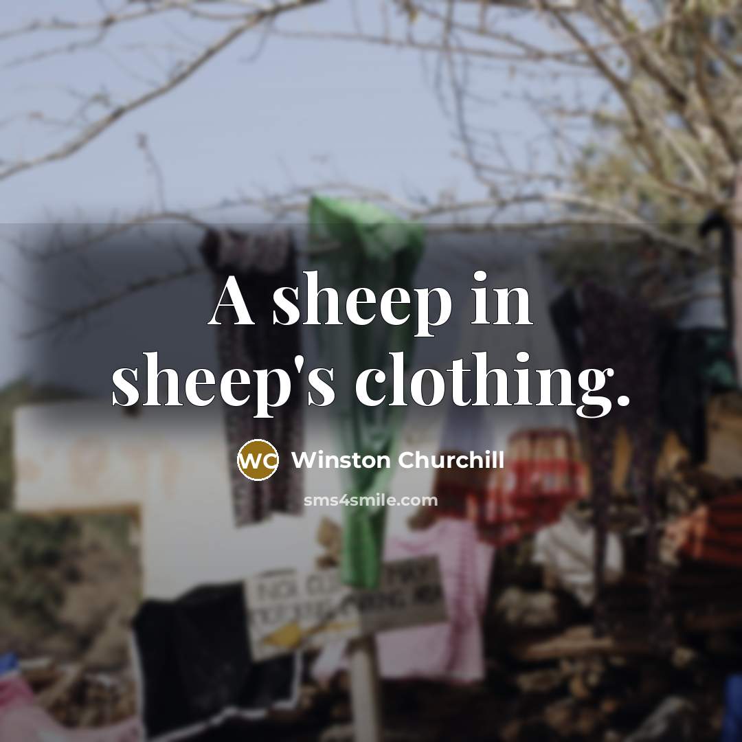 “A sheep in sheep's clothing.…” quote by Winston Churchill