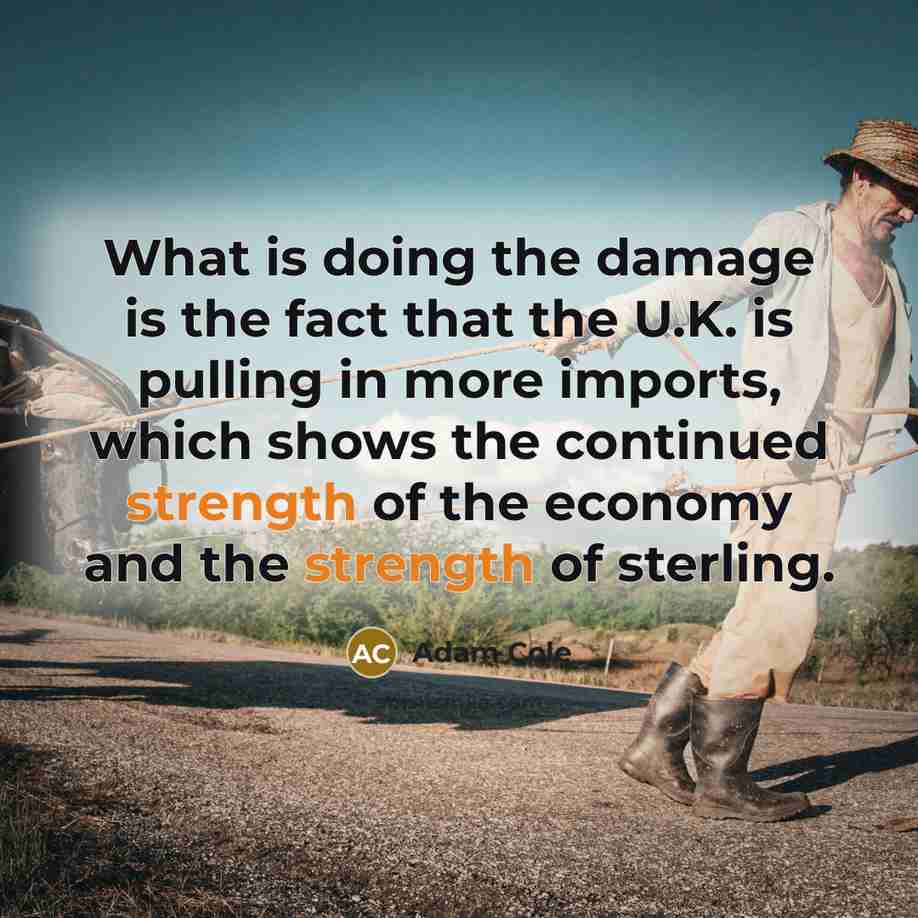 “What is doing the damage is the fact that the…” quote by Adam Cole