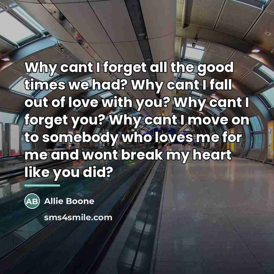“Why cant I forget all the good times we had?…” quote by Allie Boone