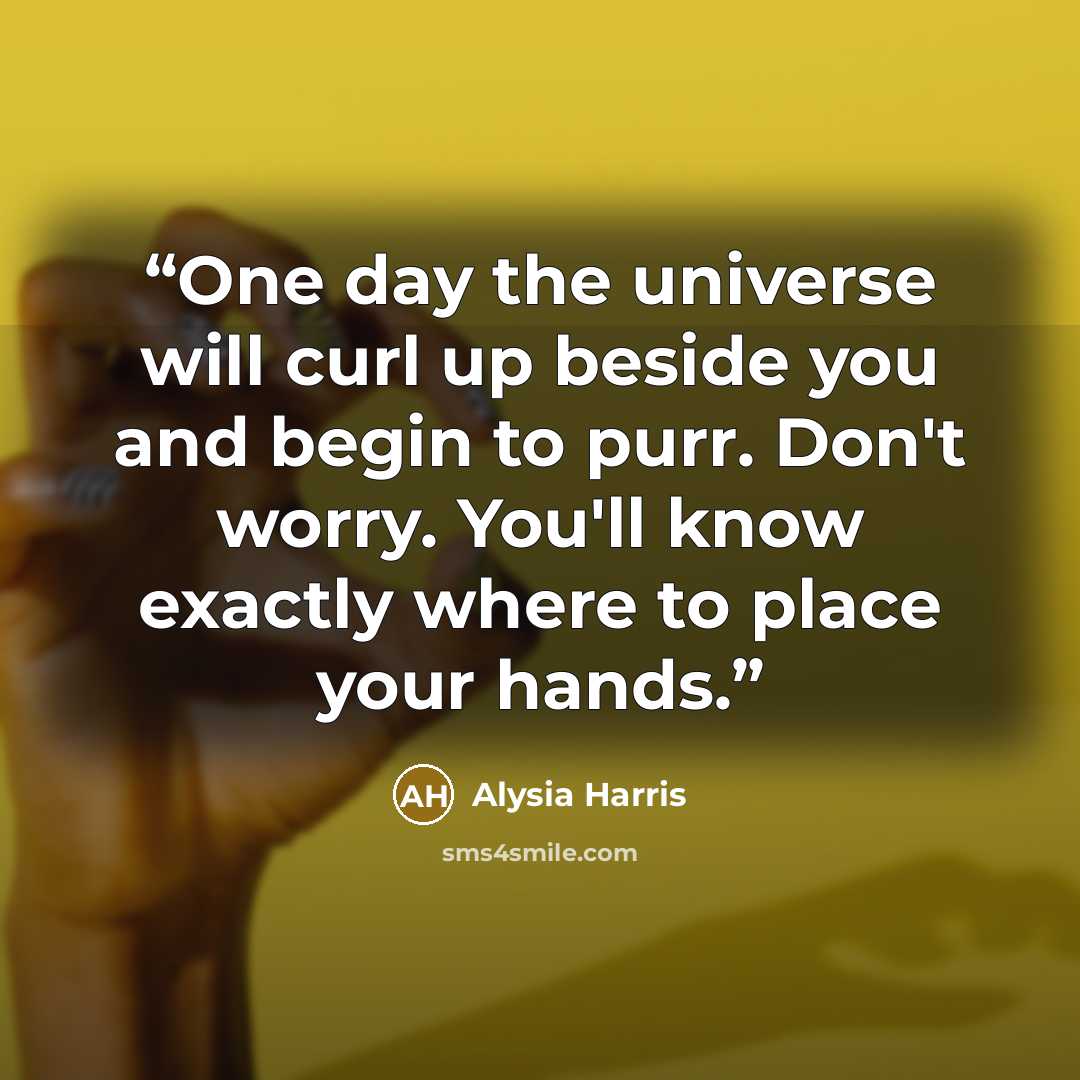 “One day the universe will curl up beside you and begin to purr. Don't worry. You'll know exactly where to place your hands.” quote by Alysia Harris