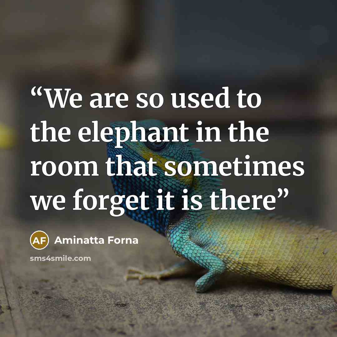 “We are so used to the elephant in the room that sometimes we forget it is there” quote by Aminatta Forna