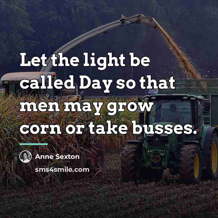 “Let the light be called Day so that men may…” quote by Anne Sexton