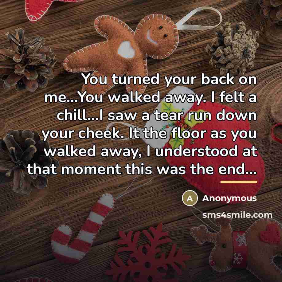 “You turned your back on me...You walked away. I felt…” quote by Anonymous