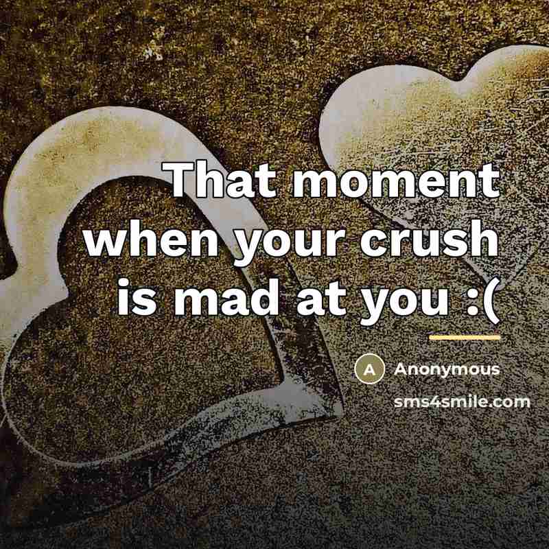 “That moment when your crush is mad at you :(…” quote by Anonymous