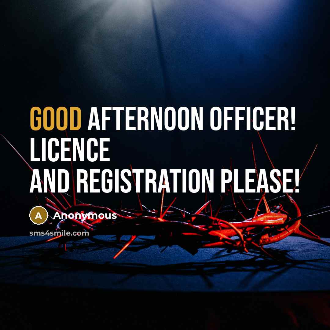 “Good afternoon officer! Licence and registration please!…” quote by Anonymous
