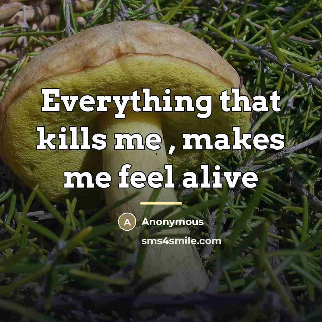 “Everything that kills me , makes me feel alive…” quote by Anonymous