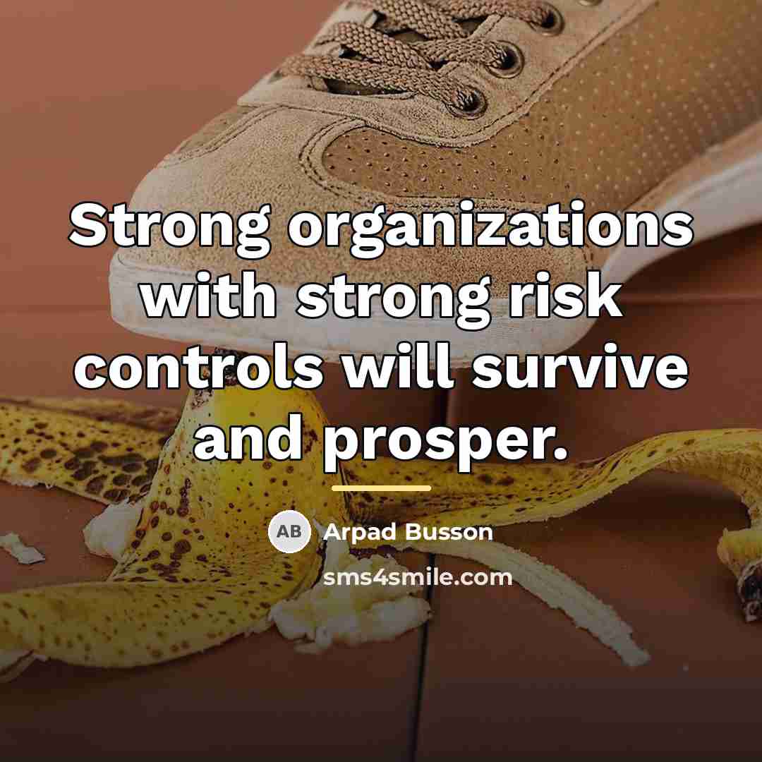 “Strong organizations with strong risk controls will survive and prosper.…” quote by Arpad Busson