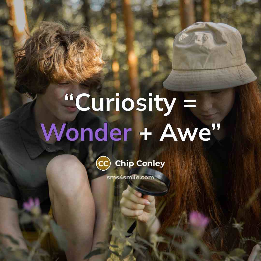 “Curiosity = Wonder + Awe” quote by Chip Conley